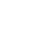 X3